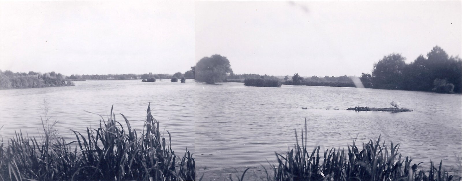 A view of Springwell Lake – 1950’s